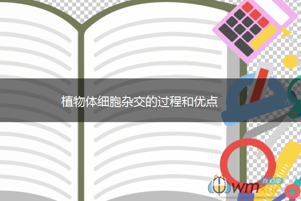 植物体细胞杂交的过程和优点 植物体细胞杂交的过程和优点