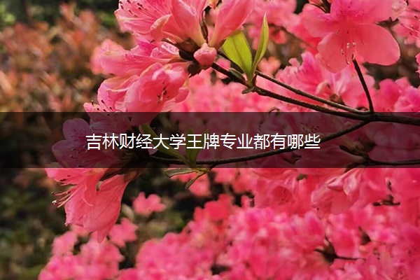 吉林财经大学王牌专业都有哪些