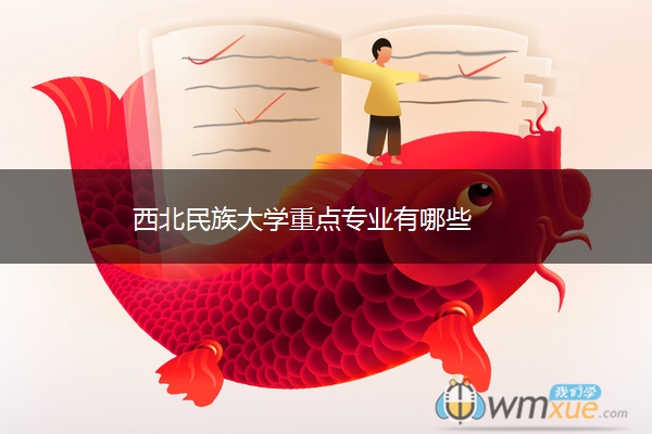 西北民族大学重点专业有哪些