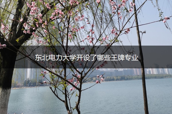 东北电力大学开设了哪些王牌专业 东北电力大学开设了哪些王牌专业