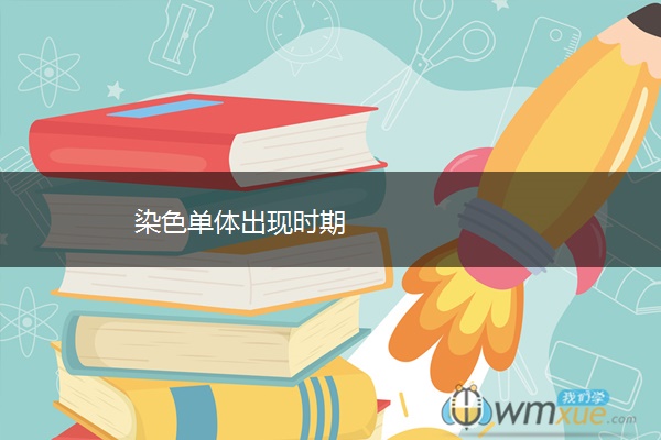 染色单体出现时期 染色单体出现时期
