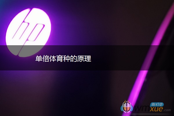 单倍体育种的原理 单倍体育种的原理