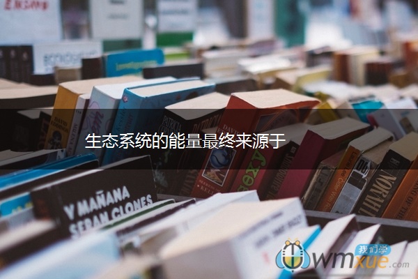 生态系统的能量最终来源于 生态系统的能量最终来源于