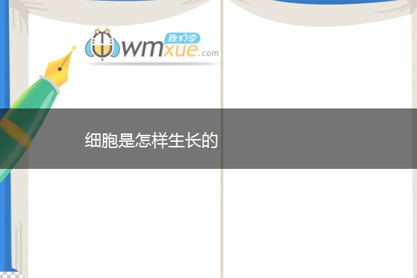 细胞是怎样生长的 细胞是怎样生长的