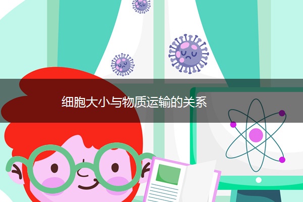 细胞大小与物质运输的关系 细胞大小与物质运输的关系