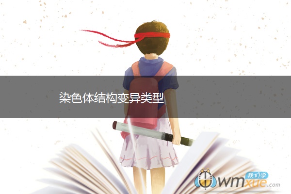 染色体结构变异类型 染色体结构变异类型