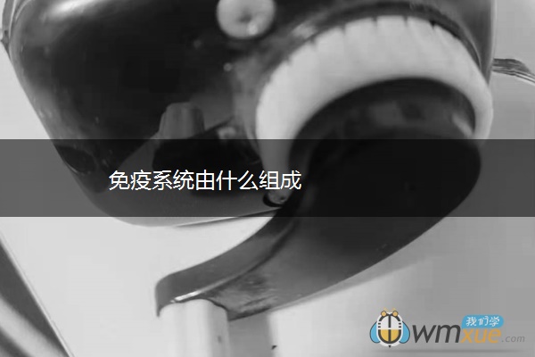 免疫系统由什么组成 免疫系统由什么组成