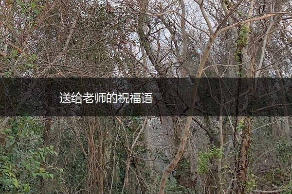 送给老师的祝福语