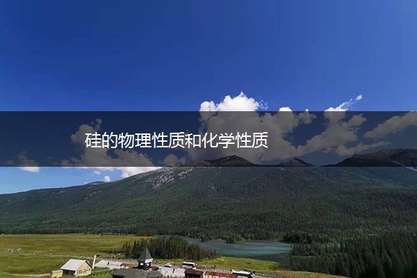 硅的物理性质和化学性质 硅的物理性质和化学性质