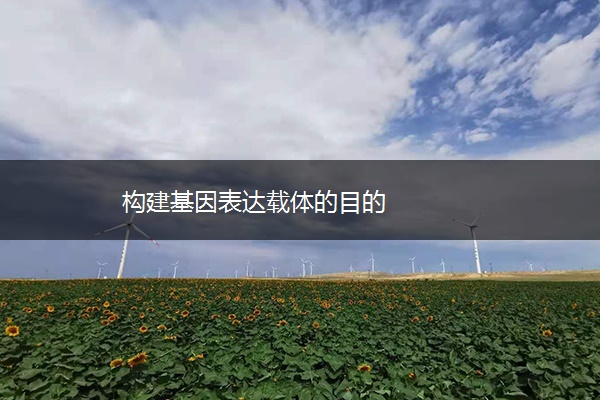 构建基因表达载体的目的 构建基因表达载体的目的