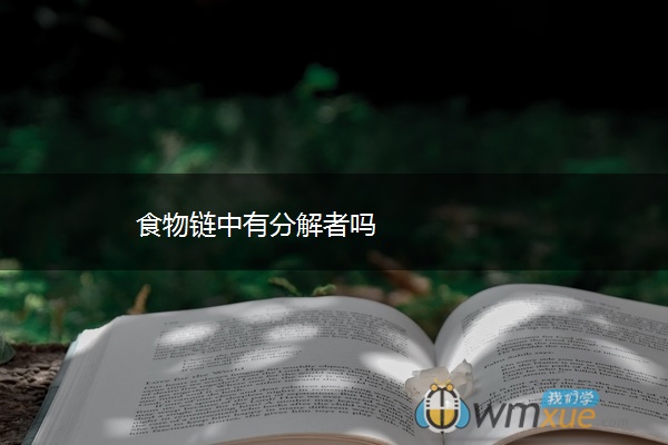 食物链中有分解者吗 食物链中有分解者吗