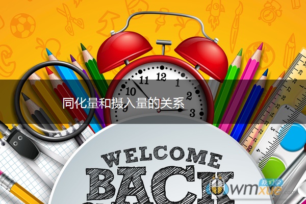 同化量和摄入量的关系 同化量和摄入量的关系