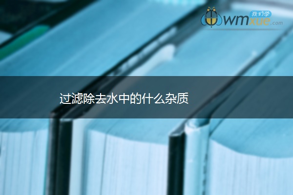 过滤除去水中的什么杂质 过滤除去水中的什么杂质