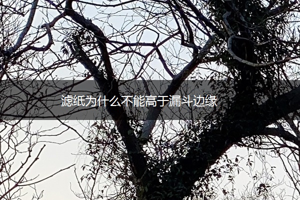 滤纸为什么不能高于漏斗边缘 滤纸为什么不能高于漏斗边缘