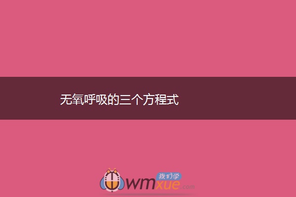 无氧呼吸的三个方程式 无氧呼吸的三个方程式