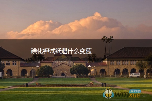 碘化钾试纸遇什么变蓝 碘化钾试纸遇什么变蓝