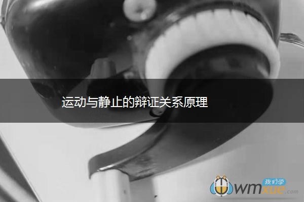 运动与静止的辩证关系原理 运动与静止的辩证关系原理
