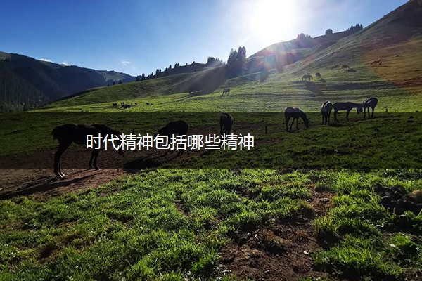 时代精神包括哪些精神