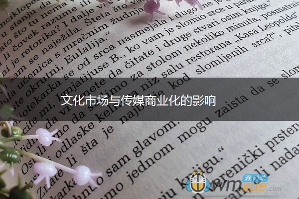 文化市场与传媒商业化的影响 文化市场与传媒商业化的影响