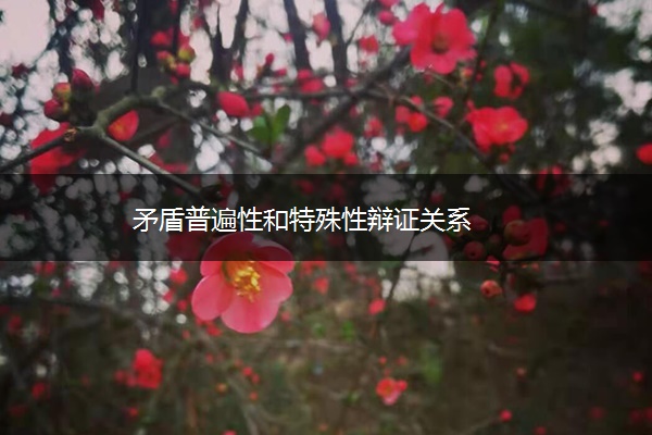 矛盾普遍性和特殊性辩证关系 矛盾普遍性和特殊性辩证关系