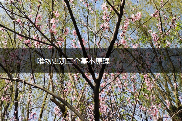 唯物史观三个基本原理 唯物史观三个基本原理