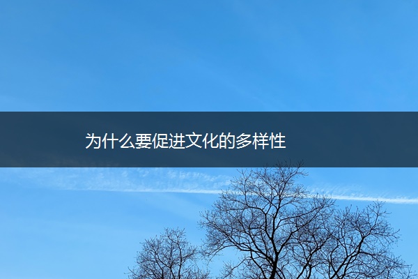 为什么要促进文化的多样性 为什么要促进文化的多样性