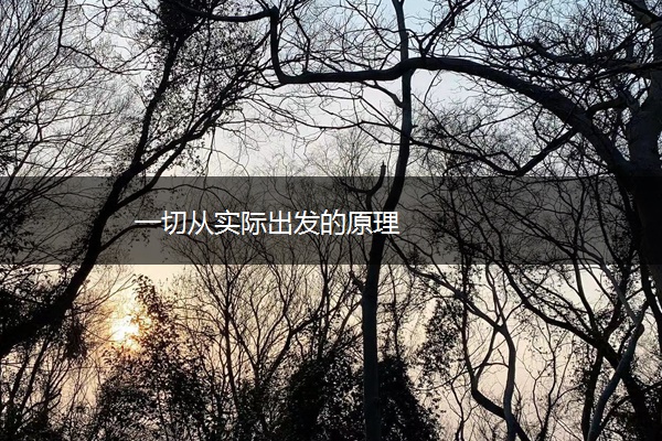 一切从实际出发的原理 一切从实际出发的原理