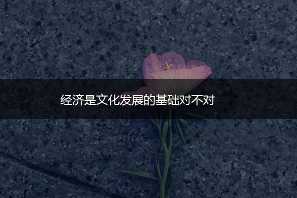 经济是文化发展的基础对不对 经济是文化发展的基础对不对