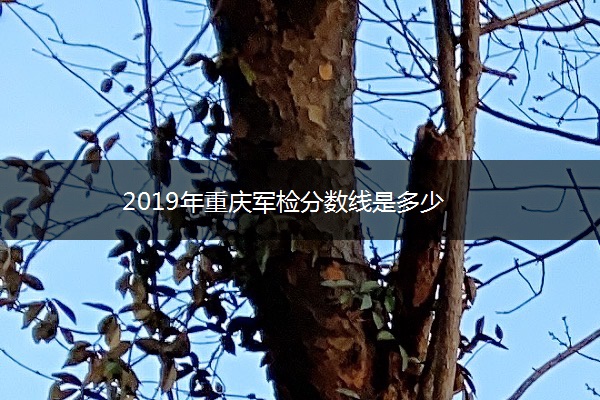 2019年重庆军检分数线是多少 2019年重庆军检分数线是多少