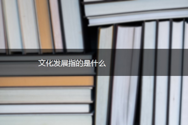 文化发展指的是什么