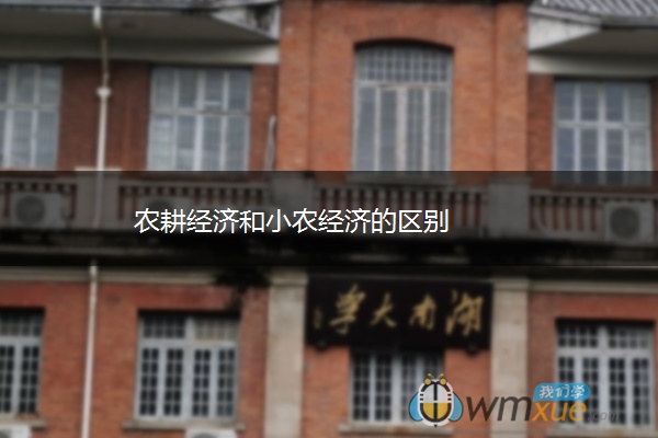 农耕经济和小农经济的区别