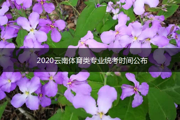 2020云南体育类专业统考时间公布 2020云南体育类专业统考时间公布