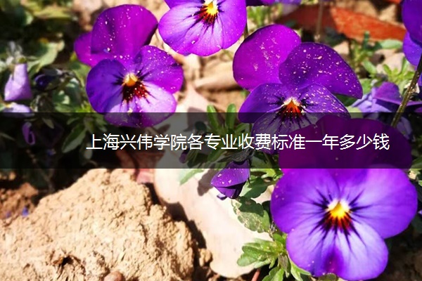 上海兴伟学院各专业收费标准一年多少钱 上海兴伟学院各专业收费标准一年多少钱