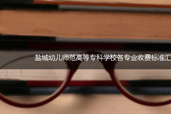 盐城幼儿师范高等专科学校各专业收费标准汇总 盐城幼儿师范高等专科学校各专业收费标准汇总