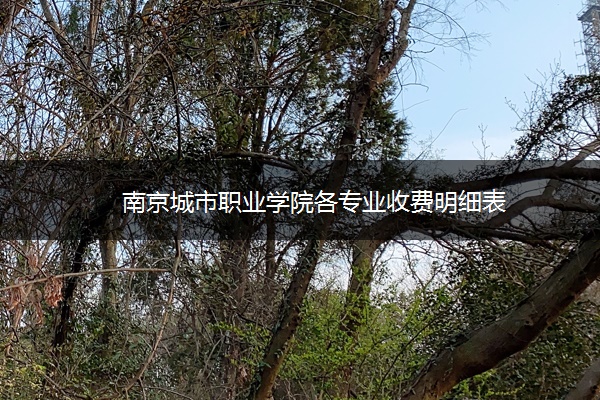 南京城市职业学院各专业收费明细表 南京城市职业学院各专业收费明细表