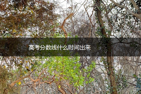 高考分数线什么时间出来 高考分数线什么时间出来