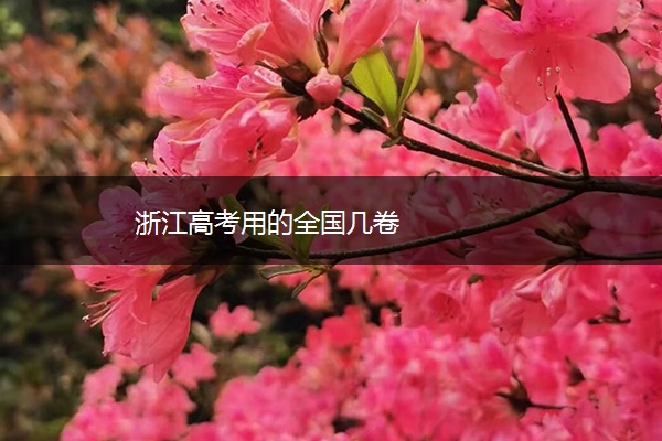 浙江高考用的全国几卷 浙江高考用的全国几卷