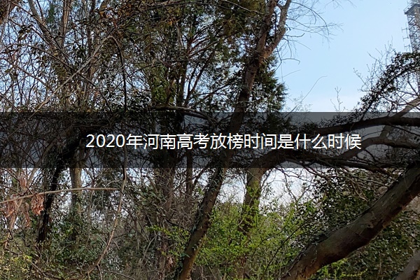 2020年河南高考放榜时间是什么时候 2020年河南高考放榜时间是什么时候