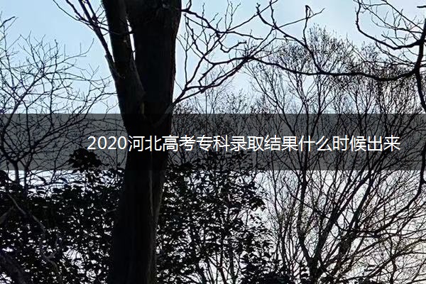2020河北高考专科录取结果什么时候出来
