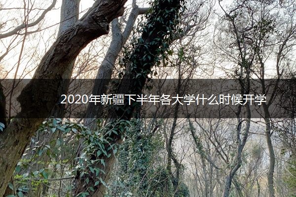 2020年新疆下半年各大学什么时候开学