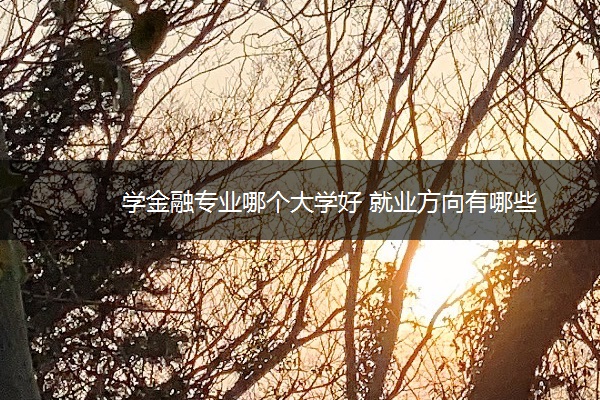 学金融专业哪个大学好 就业方向有哪些 学金融专业哪个大学好 就业方向有哪些