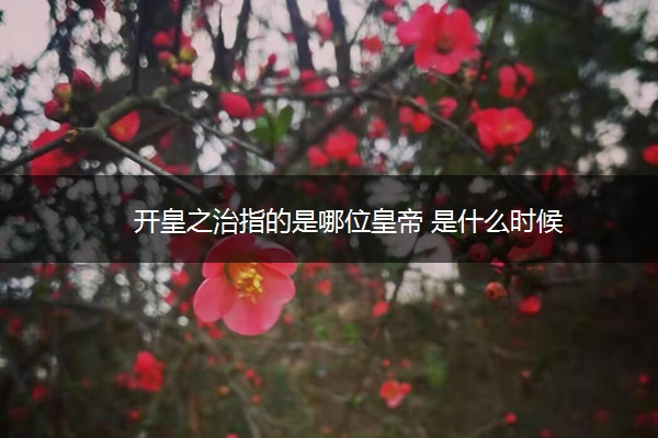 开皇之治指的是哪位皇帝 是什么时候 开皇之治指的是哪位皇帝 是什么时候