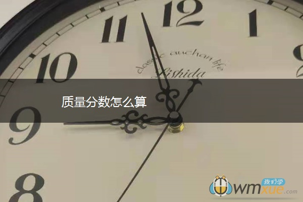 质量分数怎么算
