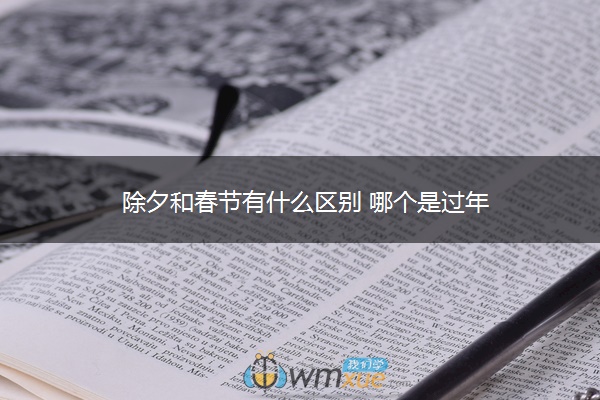 除夕和春节有什么区别 哪个是过年 除夕和春节有什么区别 哪个是过年