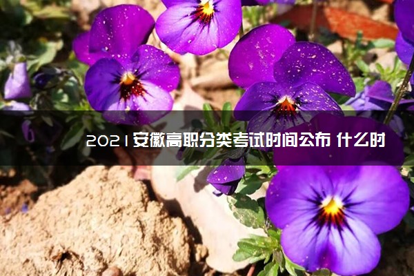 2021安徽高职分类考试时间公布 什么时候考试 2021安徽高职分类考试时间公布 什么时候考试