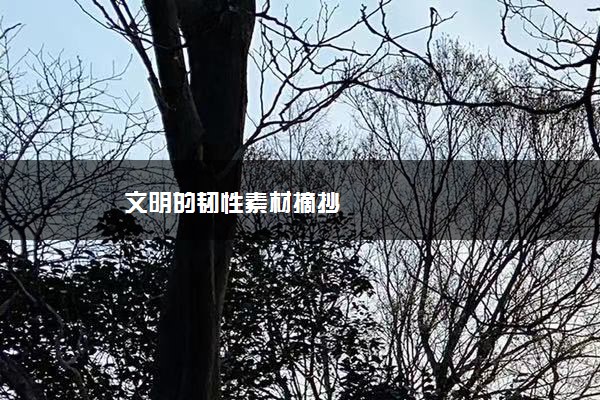 文明的韧性素材摘抄 文明的韧性素材摘抄